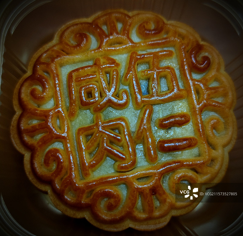 五仁咸肉月饼全帧特写图图片素材