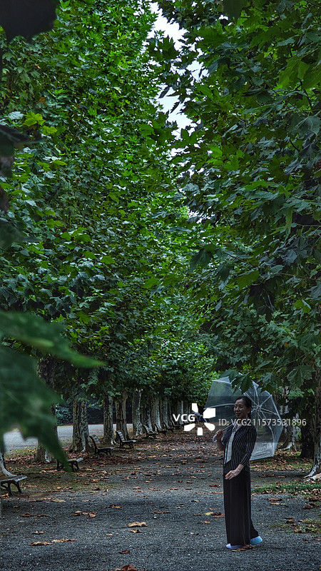 新宿御苑位于东京，是日式与法式庭园结合的公园，融合多种风格，四季如画，樱花季与菊花展时尤为迷人。图片素材