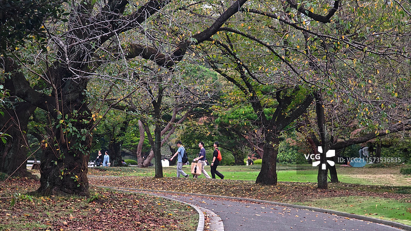 新宿御苑位于东京，是日式与法式庭园结合的公园，融合多种风格，四季如画，樱花季与菊花展时尤为迷人。图片素材