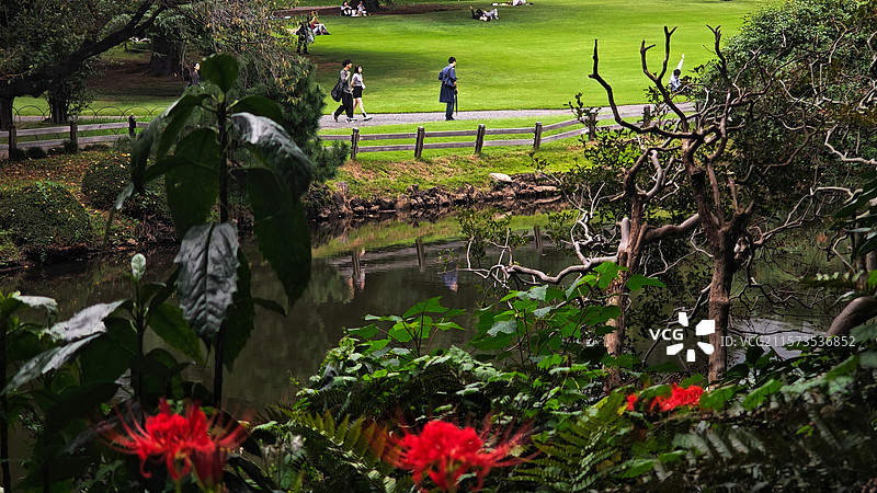 新宿御苑位于东京，是日式与法式庭园结合的公园，融合多种风格，四季如画，樱花季与菊花展时尤为迷人。图片素材