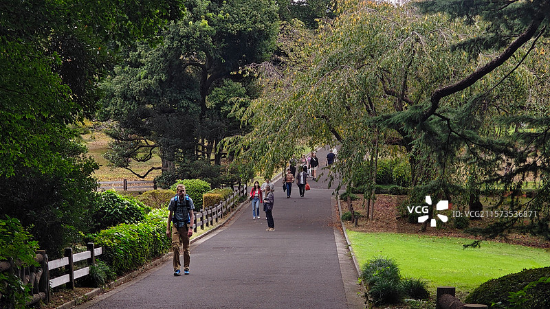 新宿御苑位于东京，是日式与法式庭园结合的公园，融合多种风格，四季如画，樱花季与菊花展时尤为迷人。图片素材