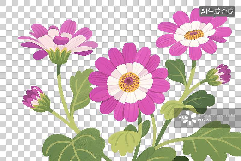 【AI数字艺术】瓜叶菊插画免扣元素图片素材