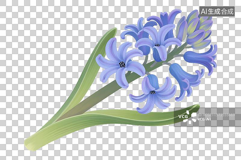 【AI数字艺术】风信子插画免扣元素图片素材