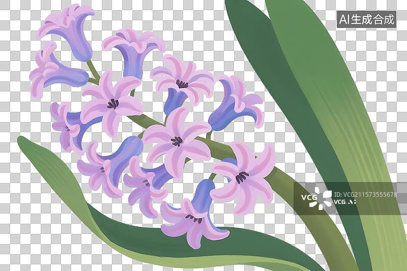 【AI数字艺术】风信子插画免扣元素图片素材