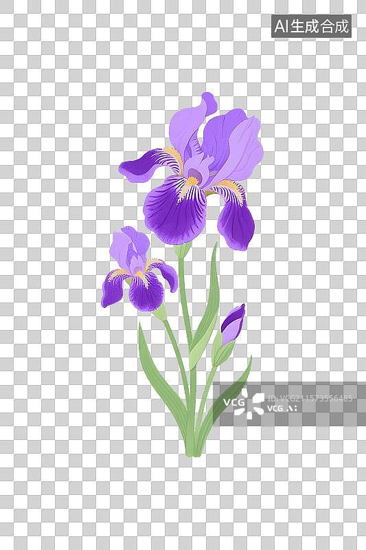 【AI数字艺术】紫色鸢尾花紫罗兰插画免扣元素图片素材