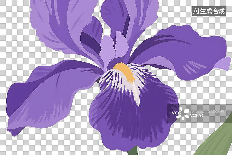 【AI数字艺术】紫色鸢尾花紫罗兰插画免扣元素图片素材