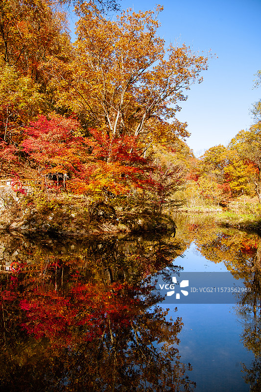 东北辽宁本溪大石湖枫叶图片素材