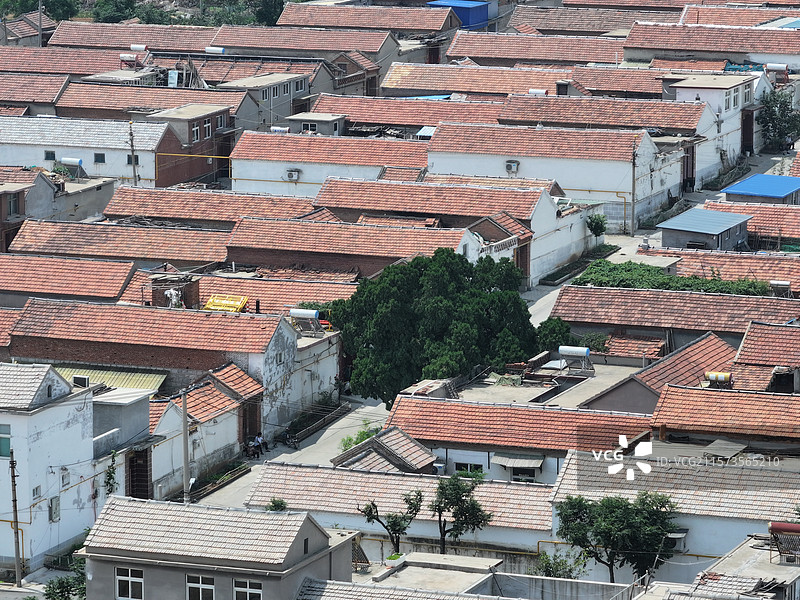 航拍济南朱家峪村夏季自然风光与古柏树图片素材