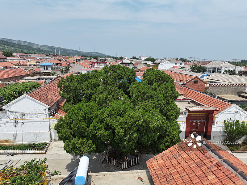 航拍济南朱家峪村夏季自然风光与古柏树图片素材
