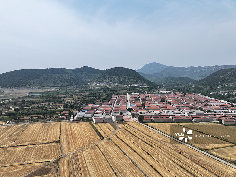 航拍济南朱家峪村夏季自然风光与古柏树图片素材