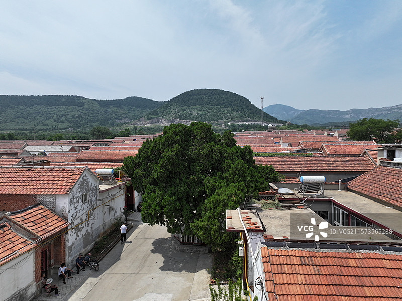 航拍济南朱家峪村夏季自然风光与古柏树图片素材