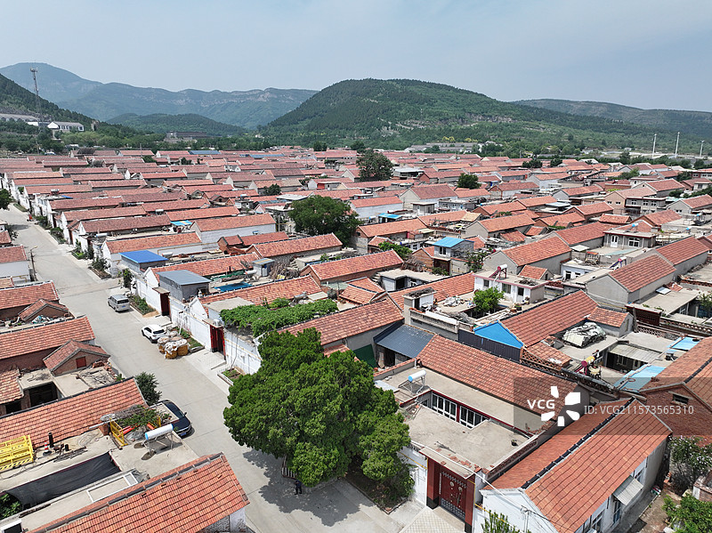 航拍济南朱家峪村夏季自然风光与古柏树图片素材