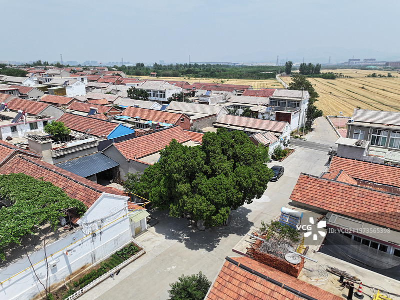 航拍济南朱家峪村夏季自然风光与古柏树图片素材