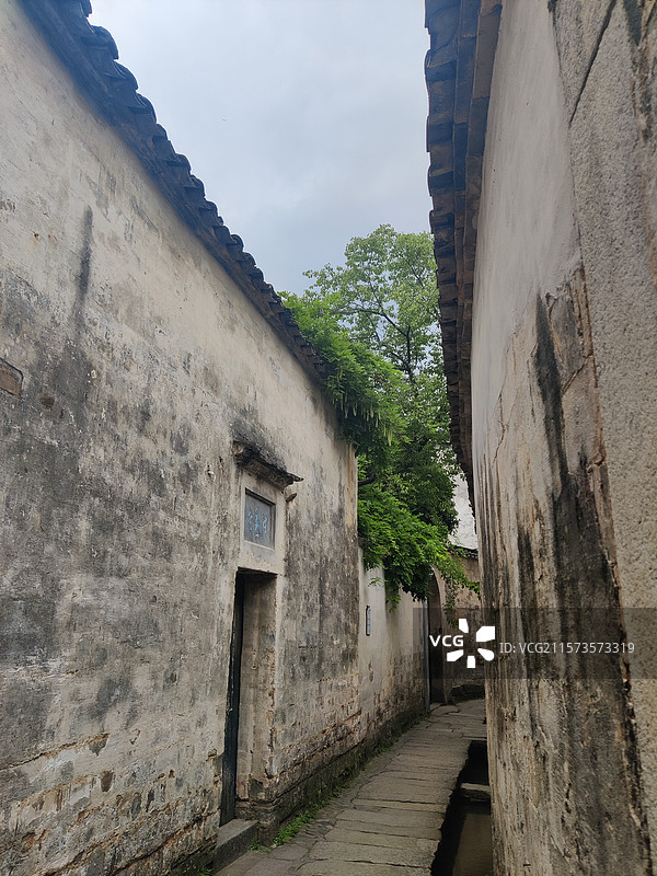 安徽宏村—徽派建筑，墙与植物图片素材