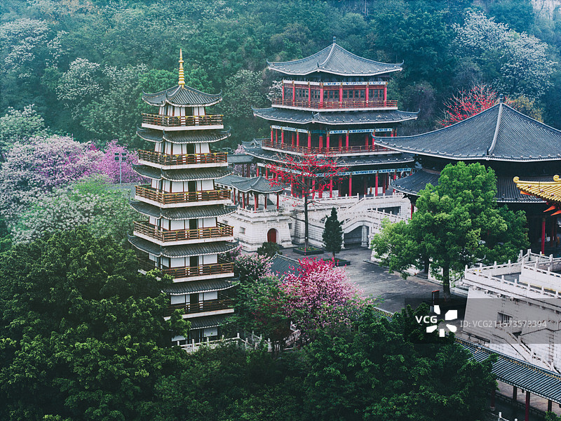 柳州文庙文昌塔紫荆花图片素材