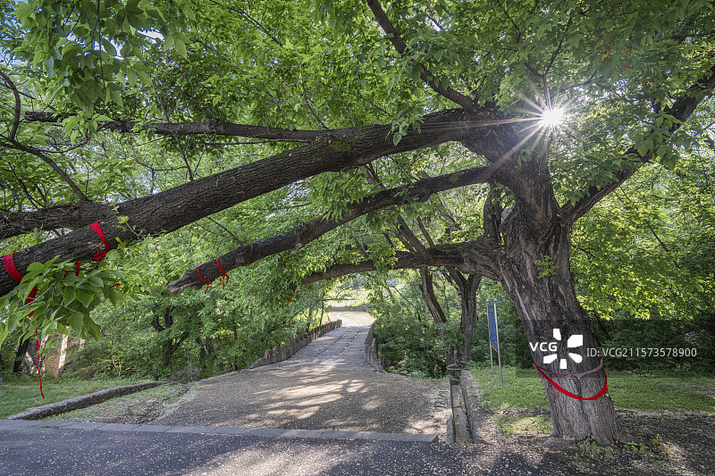 历史印记 宁古塔流放路上的大石桥图片素材