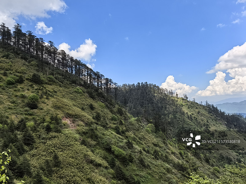 四川乐山峨边黑竹沟森林公园自然保护区自然风光图片素材