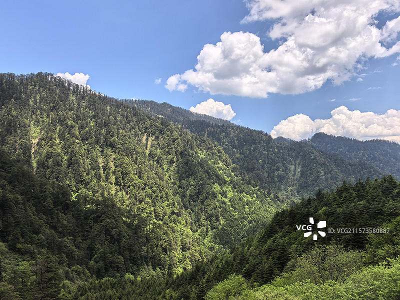 四川乐山峨边黑竹沟森林公园自然保护区自然风光图片素材