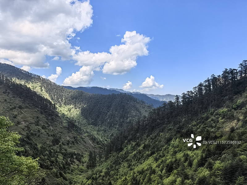 四川乐山峨边黑竹沟森林公园自然保护区自然风光图片素材