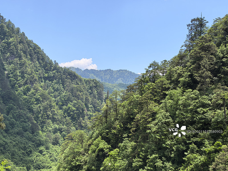 四川乐山峨边黑竹沟森林公园自然保护区自然风光图片素材