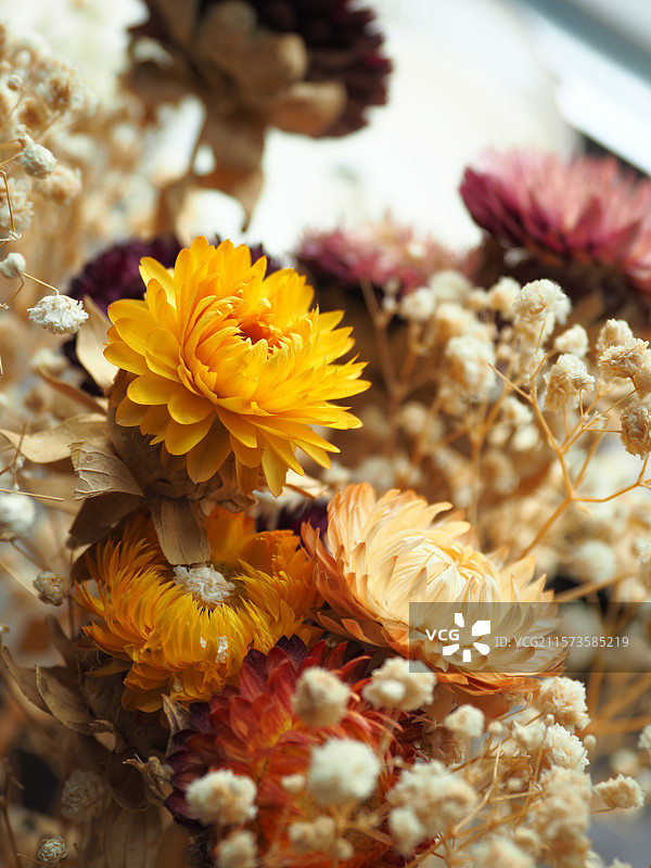 黄色干花花束图片素材