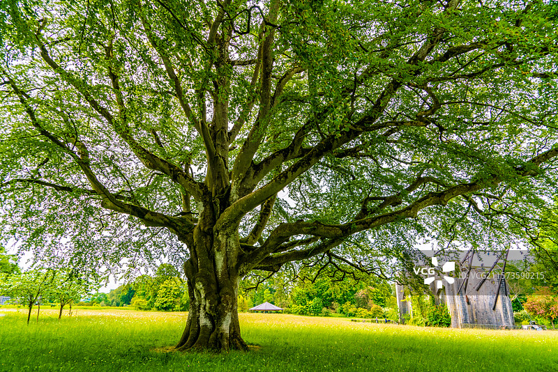英国爱尔兰中部的奥法利郡比尔城堡巨型望远镜图片素材