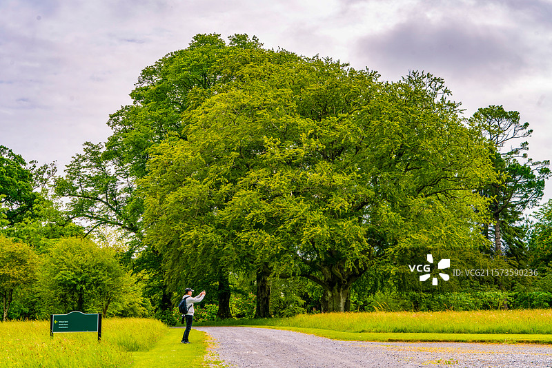 英国爱尔兰中部的奥法利郡比尔城堡巨型望远镜图片素材