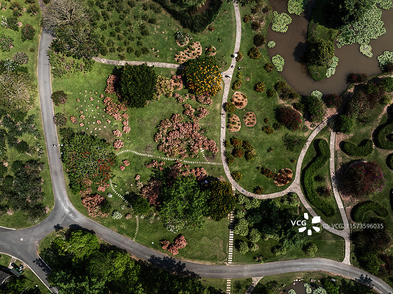 云南省西双版纳傣族自治州勐腊县勐仑镇图片素材