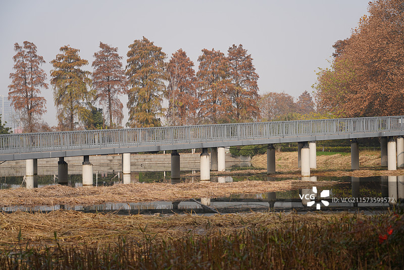 武汉东湖华侨城湿地公园的冬天图片素材