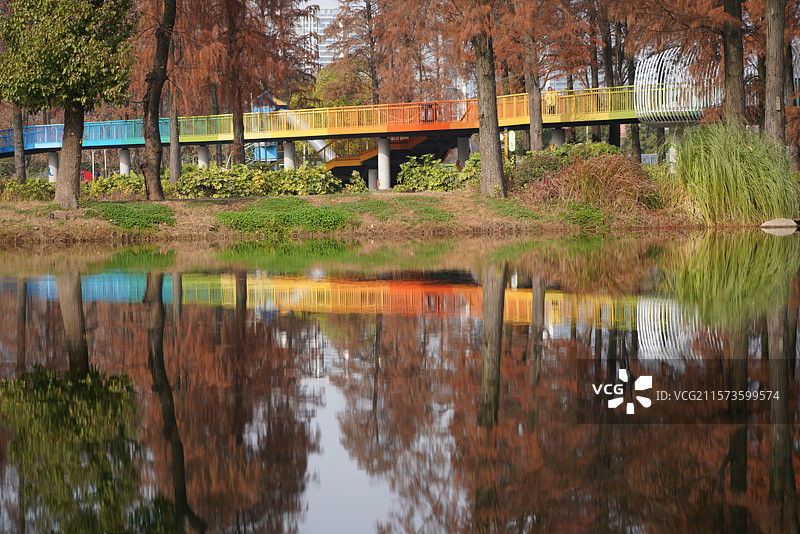 冬日武汉东湖华侨城湿地公园图片素材