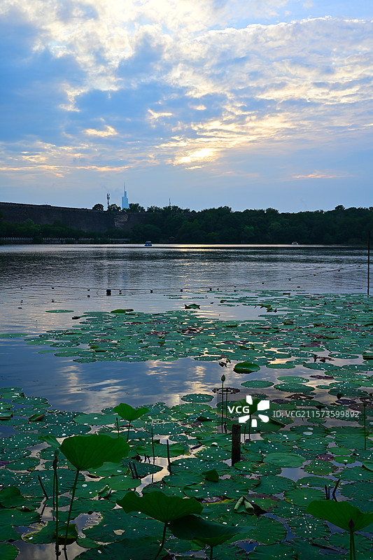 南京中山陵前湖公园图片素材