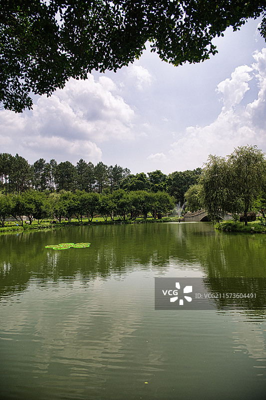 福建漳州天福茶博物院宁静的湖畔景色图片素材