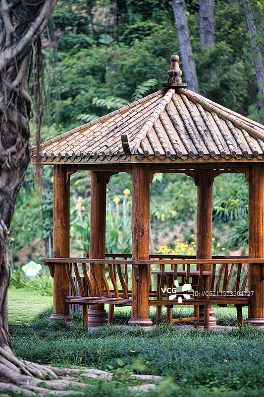 福建漳州天福茶博物院公园中的木质凉亭图片素材