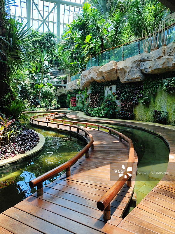 惠州植物园温室内景点图片素材