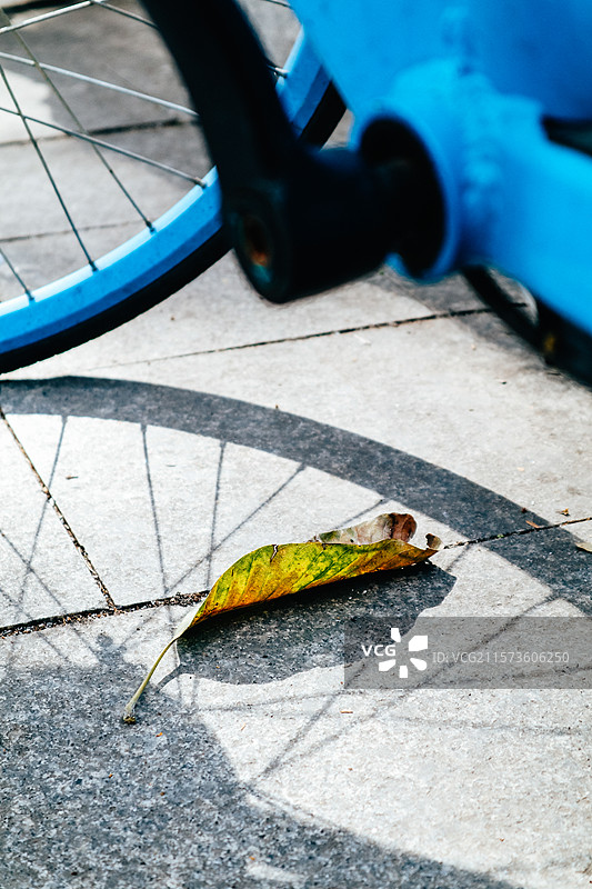 街边的共享单车……图片素材