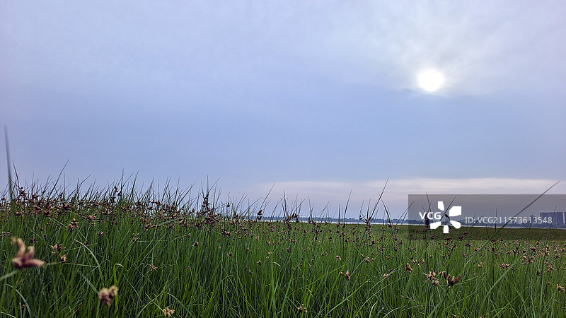 平顶山白龟湖草坪图片素材