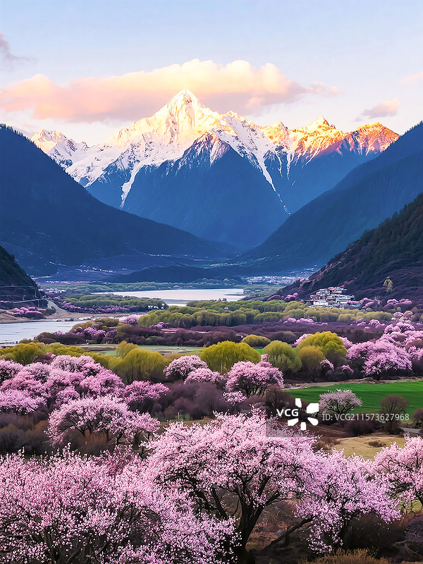 西藏林芝的十里桃花和日照金山图片素材