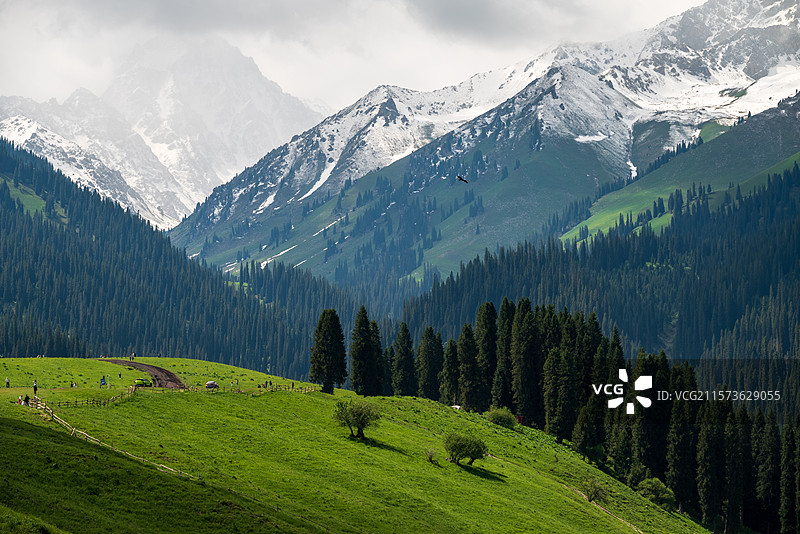 库尔德宁图片素材