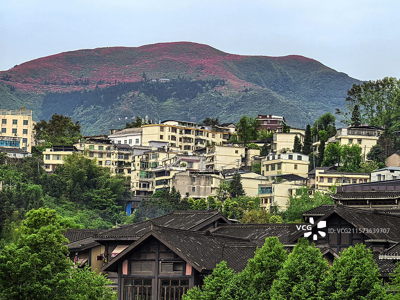 中国贵州黔东南丹寨县，丹寨万达小镇风光，丹寨万达小镇，丹寨龙泉山的杜鹃花，丹寨龙泉山蚩尤文化公园图片素材