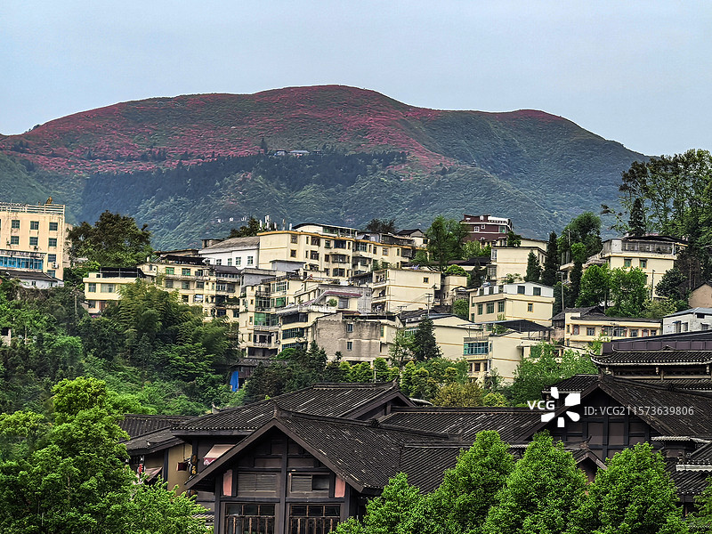 中国贵州黔东南丹寨县，丹寨万达小镇风光，丹寨万达小镇，丹寨龙泉山的杜鹃花，丹寨龙泉山蚩尤文化公园图片素材