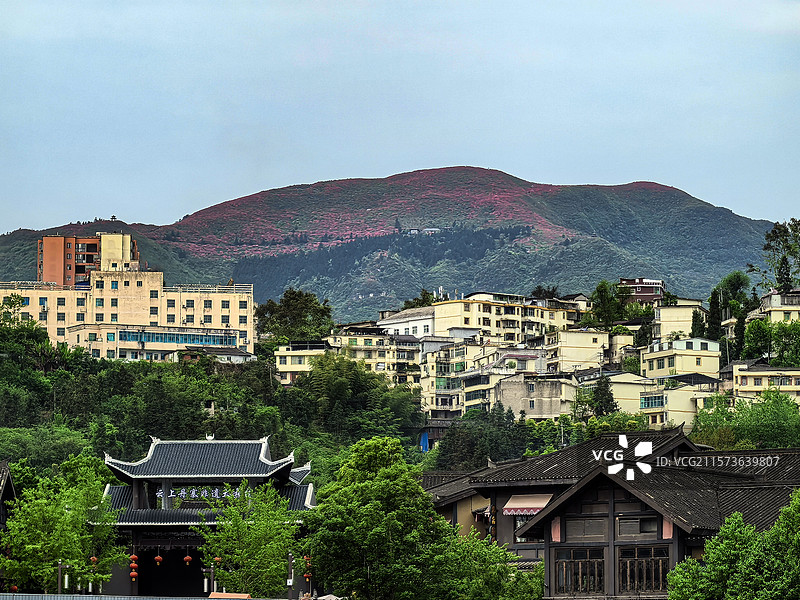 中国贵州黔东南丹寨县，丹寨万达小镇风光，丹寨万达小镇，丹寨龙泉山的杜鹃花，丹寨龙泉山蚩尤文化公园图片素材