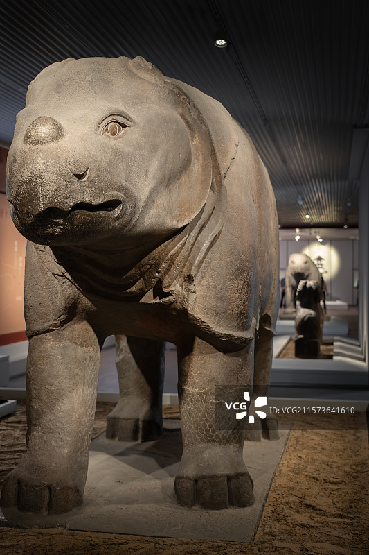 西安碑林博物馆献陵石犀图片素材