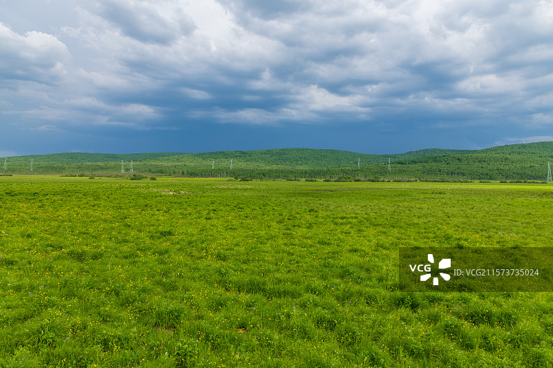 内蒙古呼伦贝尔呼和诺尔草原风景图片素材