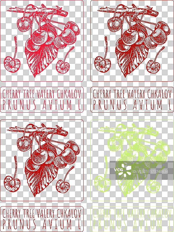 樱花树的绘画系列，瓦列里·查卡洛夫图片素材