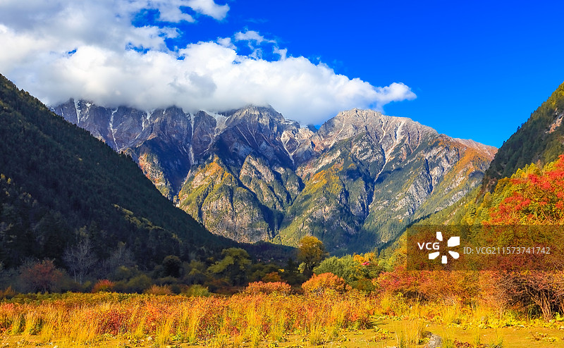 秋季西藏林芝波密朗秋风光图片素材