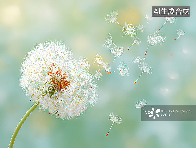 【AI数字艺术】蒲公英种子飘散图片素材