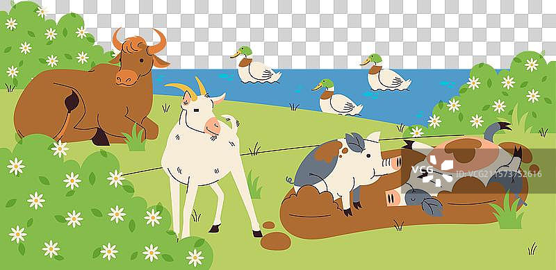 哺乳动物在水边的田野上聚集，形成一个图片素材
