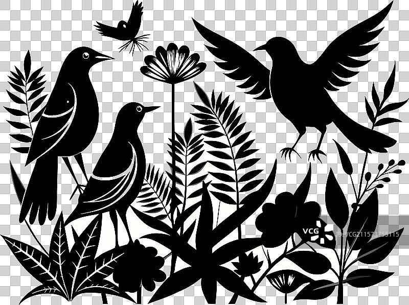 植物学的F图片素材