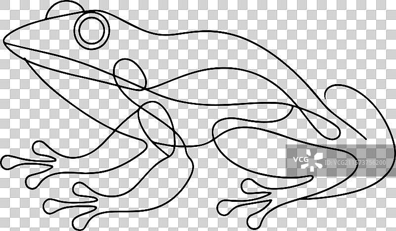 白色背景上的两栖动物连续线条艺术图片素材