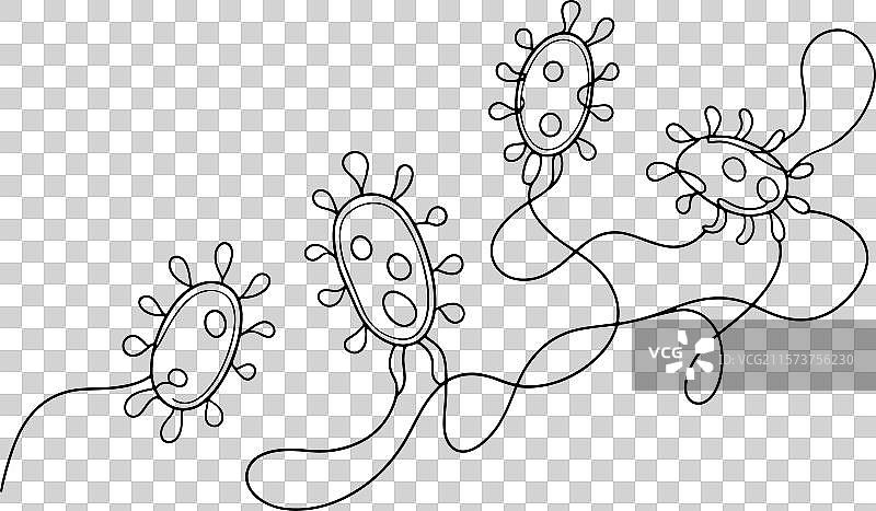 白色背景上的细菌连续线条艺术图片素材